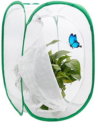 Folding Insect cage Insect Proof net Monarch Butterfly Habitat Insect and Butterfly Habitat Cage Terrarium Pop-up (15.7 X 15.7 X 23.6 Inches)