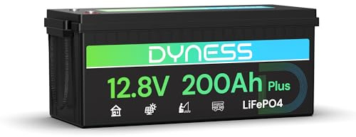 Dyness 12V 200Ah LiFePO4 Lithium Batterie mit 200A BMS, 2560Wh Lithium Marine und Wohnmobilbatterie, ideal für Solaranlagen, Wohnwagen und netzunabhängige Anwendungen