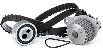 INA 530 0016 30 Wasserpumpe + Zahnriemensatz Zähnezahl: 20 22 mm mit Dichtung Kompatibel mit PEUGEOT 206 Schrägheck 2A/C 307 3A/C 307 SW 3H, CITROËN Berlingo/Berlingo First MF, GJK, GFK | Kompatibel mit: CITROËN AX, BERLINGO / BERLINGO FIRST Großraumlimousine (MF_, GJK_, GFK_