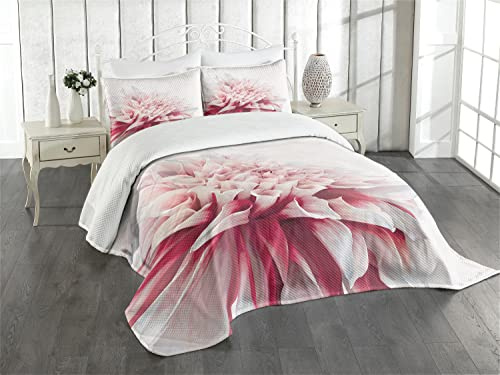 ABAKUHAUS Dahlie Tagesdecke Set, Close up Blumenblüte, Set mit Kissenbezügen Waschbar, für Doppelbetten 220 x 220 cm,Weiß Elfenbein