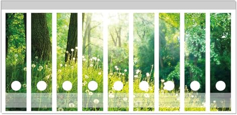 Wallario Ordnerrücken Sticker Pusteblumen im Wald mit einfallenden Sonnenstrahlen - Größe 9 Stück, Rückenschilder für 9 breite Ordner, Klebeetiketten
