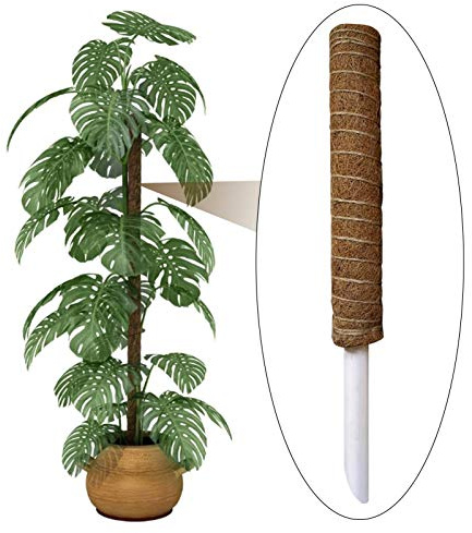 Monstera Support pour grimpantes en Fibre de Coco Naturelle 30 cm/40 cm/50 cm + bâton de Mousse en Bois pour grimpantes d'intérieur à Pousser Le Haut | Piquets Totem en Fibre de