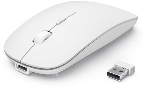 TECKNET Bluetooth Maus, Kabellose Mouse mit 6 einstellbare DPI | 2.4G USB Funkmaus, 4 Tasten Wireless Mouse, Bluetooth 5.0 Tragbare Mini Funkmaus für Laptop/MacBook/Computer