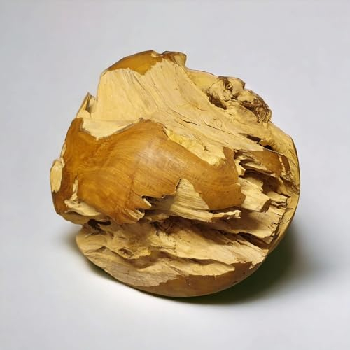 Kinaree Wurzelholz Dekoration Kugel 50 cm – handgefertigte Teakholz Deko aus Indonesien – rustikale Holz Deko Kugel für Wohnung Garten Terrasse – asiatische Möbel aus Massivholz (50cm)