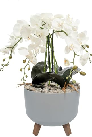 B4y Home dESING Weiße Orchideen | Künstliche Textilblume im Topf Beton-Optik | XXL Fake Gesteck | sehr groß | Geburtstagidee wie Echt 50cm hoch