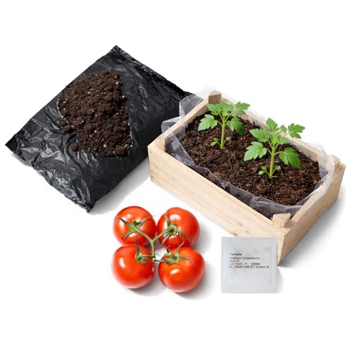 com-four® kit de cultivo de tomates con caja de madera – set para plantar tomates con sustrato y semillas – mini jardín para balcón, terraza y alféizar (Tomate - 1 pieza)