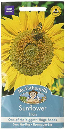 Mr Fothergill's 19802 Flower Seeds, Sunflower Titan, Yellow