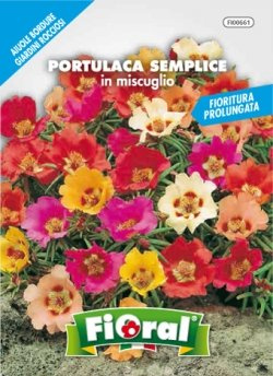 Sementi da fiore di qualità in bustina per uso amatoriale (PORTULACA SEMPLICE IN MISCUGLIO)