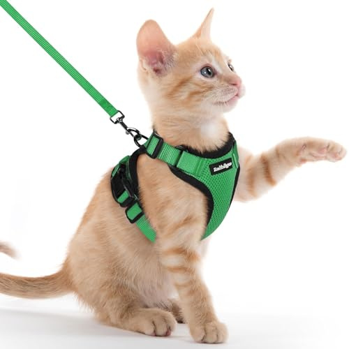 rabbitgoo Harnais Chat Anti évasion avec Laisse Vert Herbe XXS, Harnais Chaton Petit Chien Réglable, Arnet et Laisse pour Chat Refléchissant Attache Dessus, Gilet Respirant pour Chiot Lapin