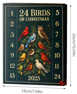 Cuenta regresiva de Navidad – Cuenta regresiva de Navidad con pájaros planos 2D, calendario de pájaros de 24 días, diseño decorativo colorido, decoración de temporada para niños, adolescentes, familia