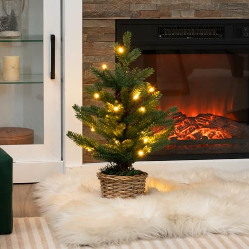 GiantexUK 2FT/60CM Mini Christmas Tree, Tabletop Artificial Xmas Tree with LED Lights & Base, Portable Traditional Holiday Christmas Decoration and Gift (Green With 20 Lights) | Tabletop Artificial Xmas Tree with LED Lights & Base, Portable Traditional Holiday Christmas Decoration and Gift