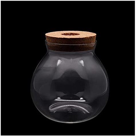 QTBH Aquarium Mini Betta Fischtank Ornament Aquarium Pflanzen Dekoration Hintergrund Haustier Zubehör Liefert Landschaft Ökologische Flasche Desktop-Aquarium (Color : Empty Cylinder, Size : 12X13CM)