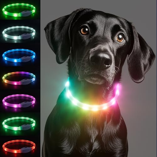 Leuchthalsband Hund, Hundehalsband Leuchtend Aufladbar, Längenverstellbar Led Hundehalsband mit 9 Leuchtmodi, Regendicht Hunde Leuchthalsband für Kleine Mittlere Große Hunde, 70 cm