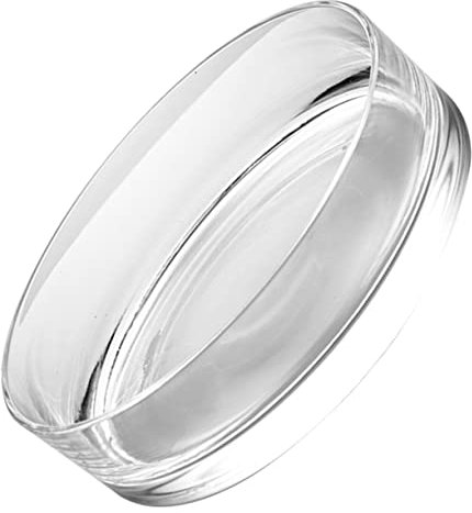 BESPORTBLE Pot de Fleurs en Verre Transparent pour Hydroponie et Décoration Intérieure, Grand Vase Carré 20x20x8 Cm, Terrarium Design pour Plantes Aquatiques et Succulentes, Vase Ménager