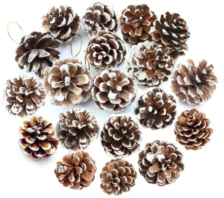 QIMMU 36 Pièce Pomme De Pin,Cônes de Pin De Noël,Pommes De Pins De Noël,Pomme De Pin Decorative,Cônes De Pin Peints en Blanc,Idéal pour Sapin de Noel,Décoration Table,Noel Interieur (Bordure Blanche)