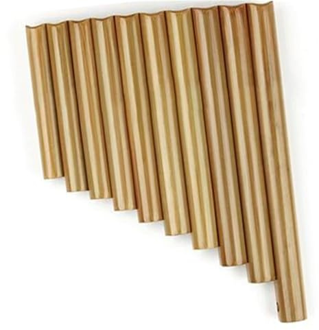 Panflöten Professionelles Panflöte Holzblasinstrument in C Tonart(Type 1)