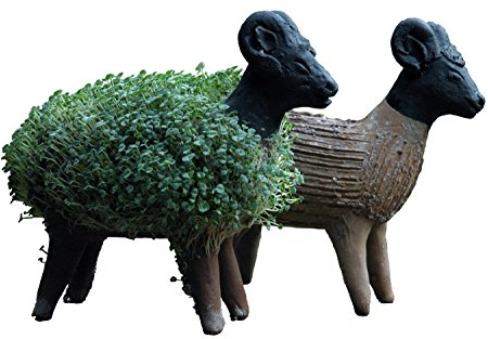 Tumia LAC Lassen Sie Ihr eigenes Kresseschaf gedeihen (Inklusive Kressesamen). Fair gehandelt. Handarbeit aus Mexiko. Schaf.