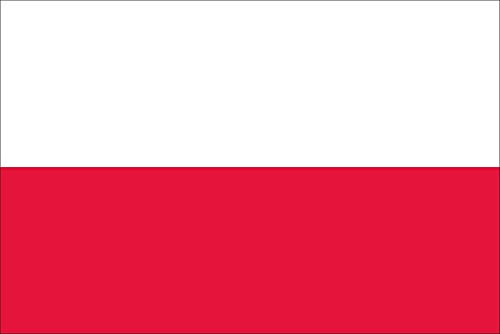 flaggenmeer® Flagge Polen 120 g/m² ca. 20 x 30 cm