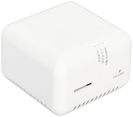 Luqeeg LAN Print Share Server, Supports Image and Text Printing, Computer Print Server Adapter, Multiple Interfaces, Maximum Support 256GB, Compatible with 95% USB Printer Brands (US