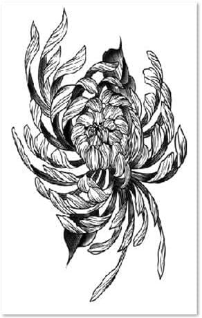 2 Stück Kräuter-Tattoo-Aufkleber, Chrysanthemen-Armsaft, Für Männer Und Frauen, Tattoo-Tattoos, Nicht Reflektierend, Wasserdicht, Langlebig