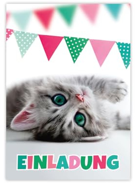 Minkocards 6 Einladungskarten zum Kindergeburtstag Mädchen Jungen Katze coole bunte Einladungen Geburtstag Kinder Mädchengeburtstag Jungsgeburtstag