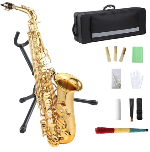 GarveeLife E Flat Alto Saxophone, AS-100 Alto Saxophone with Mouthpiece, Reeds, Stand, Case, Cleaning Cloth, Gloves and Brush, Gold Alto Sax for Beginner and Student Musicians