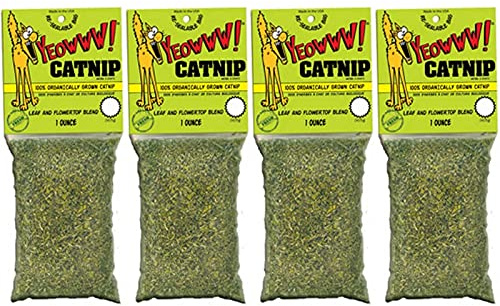 Yeowww! 100% Bio Blatt & Blüte Katzenminze Paket für Katzen & Kitten 30ml 4 Pack