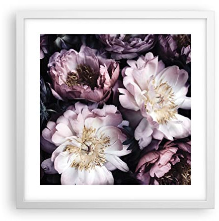 Poster Weißrahmen Pfingstrosen Veilchen Blumen Deko 40x40cm Wandposter Art Prints Wandbilder Dekoration Wohnzimmer Schlafzimmer Küche Wanddeko Bild Wand Kunstdruck Modern Wall Art P2WAC40x40-5076