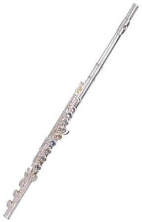 Flöte Für Anfänger 16-Loch-Flöteninstrument Mit Weißer C-Taste