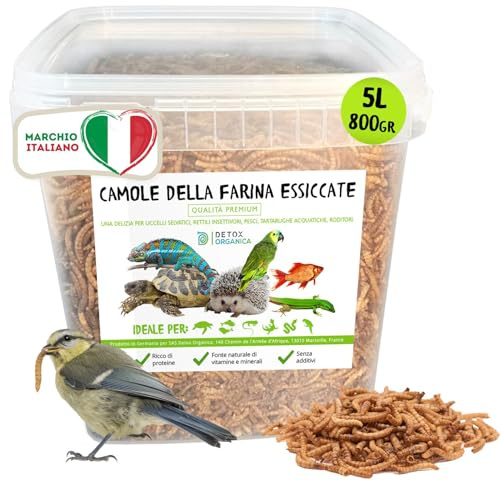 Detox Organica Camole della Farina Essiccate 800g/5000ml PRODOTTO GERMANIA