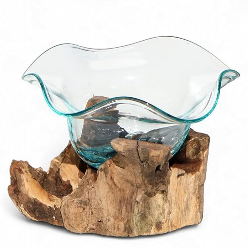 Wogeka - Glasschale Laguna auf Wurzel-Holz - Ø Glas 14 cm - Glas-Vase - Handarbeit als Geschenk-Idee zur Dekoration