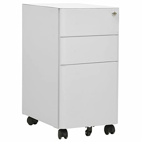 CIADAZ Aktenschrank mit Rollen, Stahlschrank, Aktenregal, Werkzeugschrank, Büroschrank, Lagerschrank, Ordnerschrank, Hellgrau 30x45x59 cm Stahl