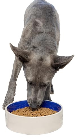SPOT Standard Crock Dish - Heavy Duty, Non-Slip, Round Ceramic Food/Water Bowl for Pets, Ideal for Medium to Large Dogs or Multiple Animals, Dishwasher Safe - 9.5 in, 8 Cups, (64 Oz)