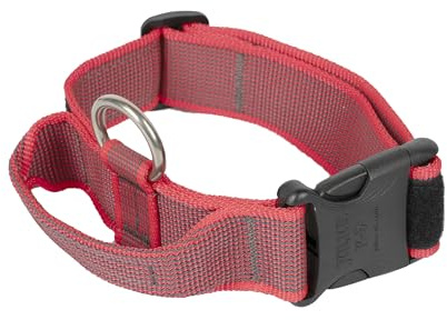 Julius-K9, 100HA-K-R-2015 Color & Gray K9-Halsband mit Haltegriff, Sicherheitsverschluss und Logo, 40 mm*38-53 cm, verstellbar, rot-grau