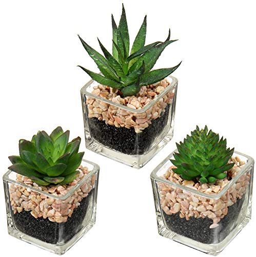 Briful Kunstpflanze Künstliche Sukkulente Pflanze Zimmerpflanze Decorative Wohnzimmer,Badezimmer Dekopflanze Sukkulente, Höhe 10.5cm, im Glastopf, 3er Set