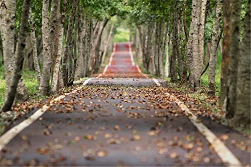 YINGXIN88 2000 Teile Puzzles für Erwachsene Puzzles 2000 Teile Pfad im Wald Lernspiele Heimdekoration Puzzle Geschenke-70x100cm
