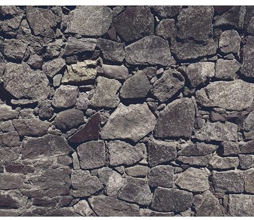 murando - Fototapete Vlies Steinwand, 450x315 cm, Schlafzimmer, Wohnzimmer | Full HD Druck, 3D-Effekt, lichtbeständige Farben, ideal fürs Wohn- oder Schlafzimmer, schnelle Montage, lichtbeständig, edel