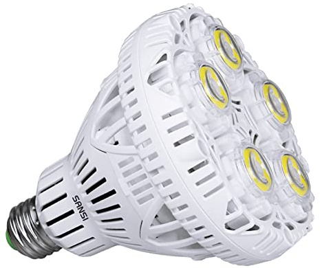 SANSI 30W LED Lampe Ersetzt 250W, BR30 Werkstattlampe 4000 Lumen 5000K, E27 | CRI 80, E27 Glühbirnen für Garage Keller Lager Fabrik Kirche Scheune Sporthalle, Nicht Dimmbar