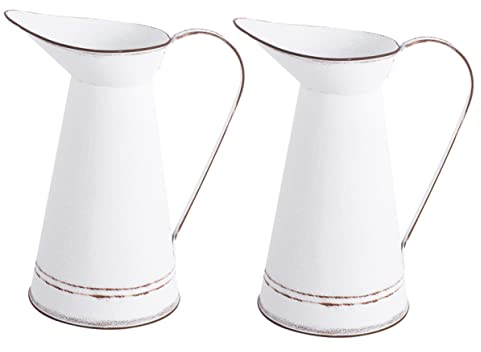 Garneck 2pcs Metal Succulent Flower Pot Iron Flower Vase Pot for Home Office Table Centerpiece Decor for Indoor Plant and Garden Arrangement
