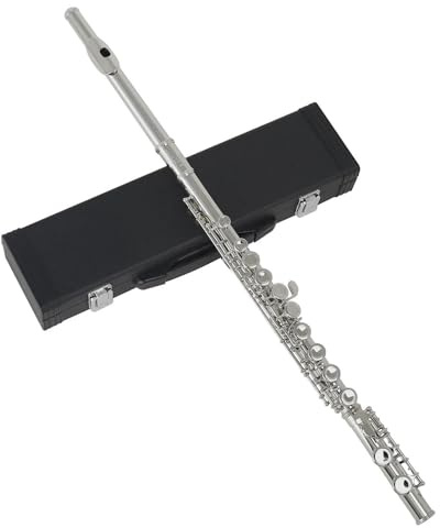 Flöte Für Anfänger 16 Geschlossene Offene Löcher C-Taste Professionelles Querflöten-Konzertmusikinstrument Mit Box-Tuch-Stick-Handschuhen