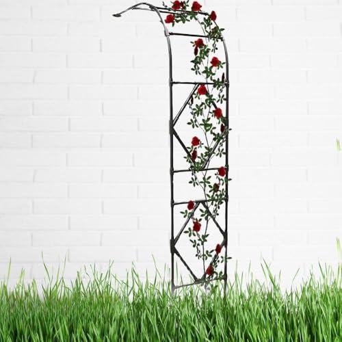 Grande Arche De Jardin Demi - Latérale, Arche À Rosiers en Métal, Treillis De Arche Plante Grimpante, 3.0x2.4m 1.8x2.4n 0.6x2.4m Résistante Aux Intempéries(Noir,0.6x2.4m)