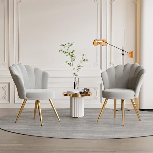 Aivermeil Esszimmerstühle 2er Set Samt Polsterstühle Grau | Muschelsessel mit Armlehnen,Schminktisch Stuhl,Polstersessel Elegant,kzentstuhl mit Gold Metallbeinen Accent Chair