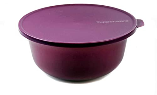 Tupperware Aloha 4L dunkellila Schüssel Servieren Servierschüssel Salatschüssel