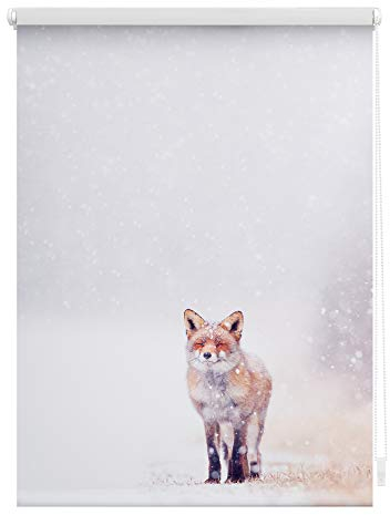 Lichtblick Klemmfix Verdunklungs-Rollo mit Motiv, ohne Bohren, Blickdicht, Seitenzugrollo, Made in Germany, Fuchs im Schnee - Weiß Rot 45 x 150 cm