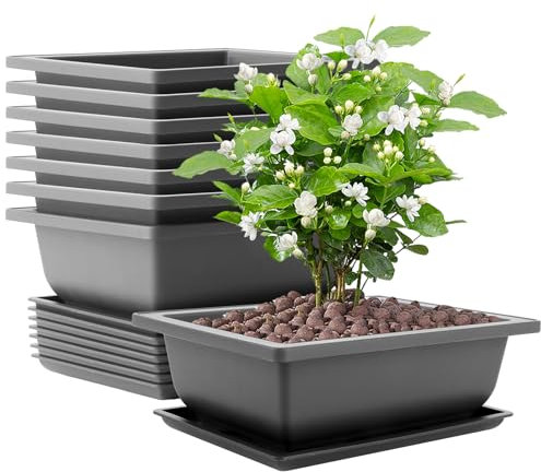 AKOLAFE 8 ciotole per bonsai, in plastica, 22,5 x 16,5 x 7,5 cm, con sottovaso, in plastica, per giardino, soggiorno, balcone, interni ed esterni
