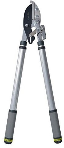 Burgon & Ball RHS Endorsed Telescopic Handled Ratchet Lopper, 72 cm - 104 cm Overall Length