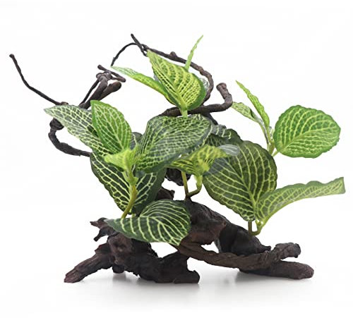 AQUA KT Reptilien Pflanzen Grüne Bäume Blätter Naturgetreue Regenwald Terrarien Deko für Chamäleon Eidechsen Schildkröten Schlangen Frösche