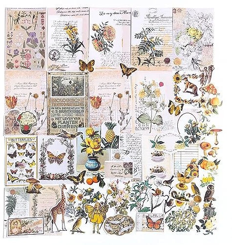 Alideco 200pcs Vintage Scrapbook Stickers Kawaii Fairy Scrapbooking Paper Washi Junk Journaling Supplies Collage Album Aesthetic Cottagecore Picture Frames(Plant Butterfly)
