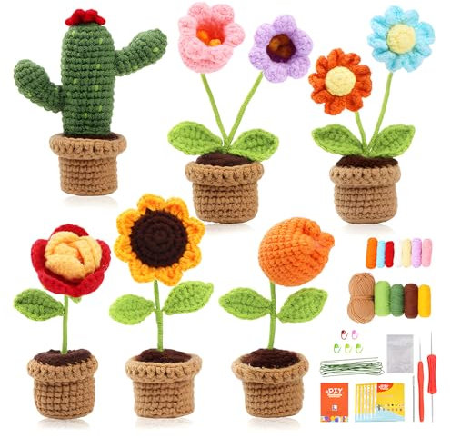 Kinberry Crochet Kit for Beginners - 6pcs Succulents Crochet Kit Include Yarn, Needle, Stitch Markers, Crochet Tools Supplies, Complete Crochet Starter Kit for Beginners, DIY Gifts for Friends