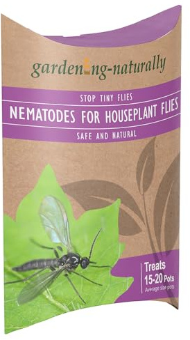 House Fly Nematodes for Indoor Plants – Natural Pest Control for House Flies in Houseplants and Seedlings